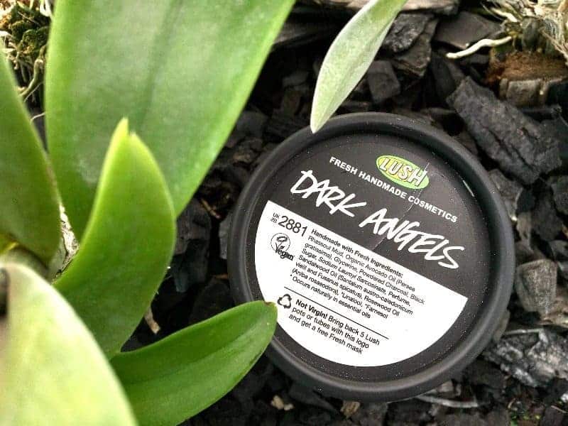 Lush Dark Angels Face And Body Cleanser Review